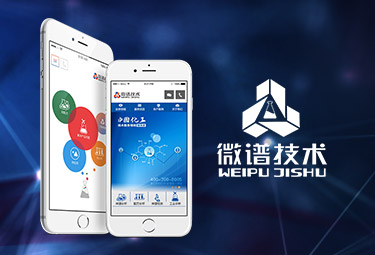 微谱技术手机网站建设